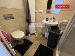 Prodej bytu 1+kk, Zlín, Fügnerovo nábřeží, 42 m2