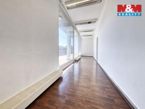 Prodej kanceláře, Písek - Pražské Předměstí, Čechova, 53 m2