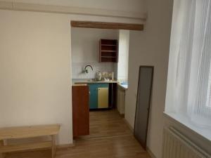 Pronájem bytu 3+kk, Praha - Žižkov, Na Balkáně, 80 m2