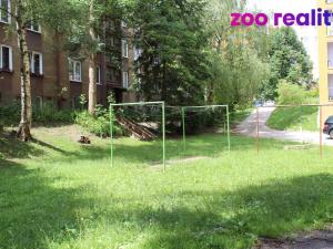 Pronájem bytu 1+kk, Litoměřice, Stránského, 32 m2