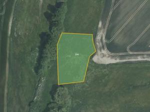 Prodej pole, Sedlice, 38080 m2