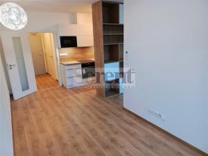 Pronájem bytu 1+kk, České Budějovice - České Budějovice 3, Riegrova, 47 m2