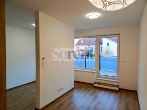 Pronájem bytu 1+kk, České Budějovice - České Budějovice 3, Riegrova, 47 m2