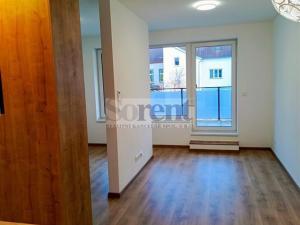 Pronájem bytu 1+kk, České Budějovice - České Budějovice 3, Riegrova, 47 m2