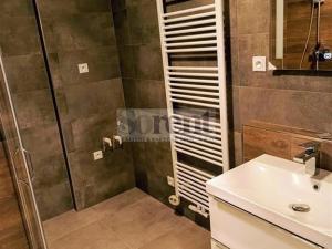 Pronájem bytu 1+kk, České Budějovice - České Budějovice 3, Riegrova, 47 m2
