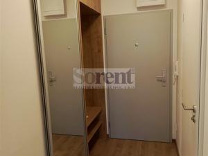 Pronájem bytu 1+kk, České Budějovice - České Budějovice 3, Riegrova, 47 m2