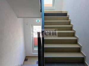 Pronájem bytu 1+kk, České Budějovice - České Budějovice 3, Riegrova, 47 m2