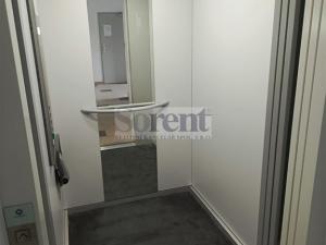 Pronájem bytu 1+kk, České Budějovice - České Budějovice 3, Riegrova, 47 m2