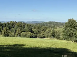 Prodej pozemku pro bydlení, Nechvalice - Ředice, 4965 m2