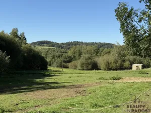 Prodej pozemku pro bydlení, Nechvalice - Ředice, 4965 m2