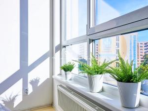Prodej bytu 2+kk, České Budějovice, Staroměstská, 49 m2