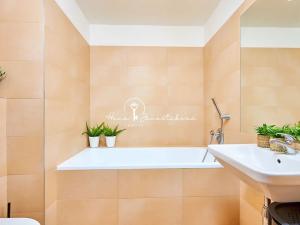 Prodej bytu 2+kk, České Budějovice, Staroměstská, 49 m2