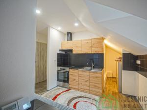 Pronájem bytu 1+kk, Lipová-lázně, 35 m2