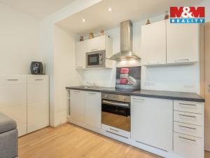 Prodej bytu 1+kk, Praha - Karlín, Nekvasilova, 38 m2