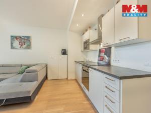 Prodej bytu 1+kk, Praha - Karlín, Nekvasilova, 38 m2