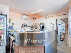 Prodej restaurace, Kuchařovice, 8.Května, 114 m2