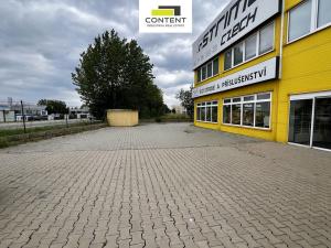 Pronájem skladu, Brno - Slatina, Řípská, 800 m2