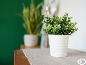 Prodej bytu 3+1, Nahořany, 65 m2