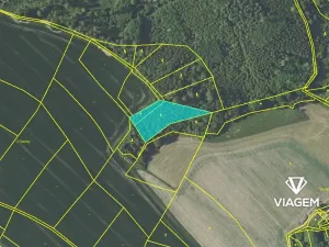 Prodej podílu lesa, Horka II, 821 m2