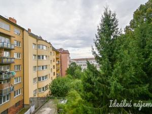 Pronájem bytu 2+1, Brno, Hoblíkova, 61 m2