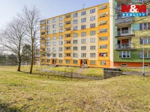 Prodej bytu 2+1, Sokolov, Švabinského, 59 m2