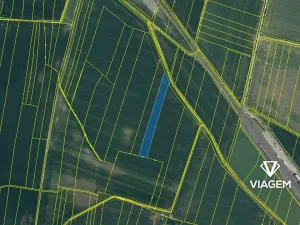 Prodej podílu pole, Dobrovice, 5428 m2