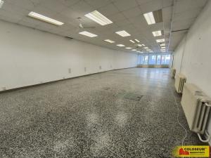 Pronájem obchodního prostoru, Boskovice, 180 m2