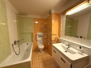 Pronájem bytu 2+kk, Brno, Haškova, 87 m2