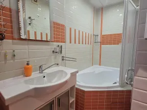 Pronájem bytu 3+kk, Jihlava, Březinova, 72 m2