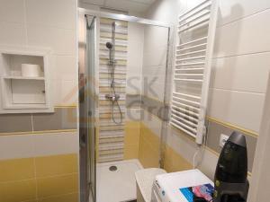 Pronájem bytu 1+kk, Karlovy Vary - Drahovice, 19 m2