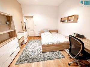 Pronájem bytu 1+kk, Brno, Demlova, 12 m2