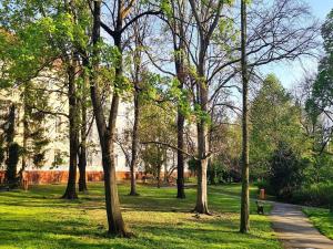 Pronájem bytu 1+kk, Praha - Nové Město, Na bojišti, 34 m2