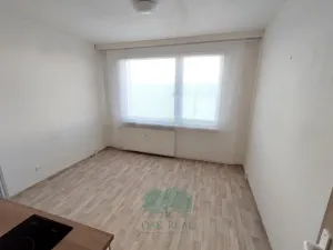 Pronájem bytu 1+kk, Praha - Libuš, Na domovině, 20 m2