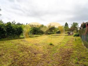 Prodej zahrady, Plzeň, Guldenerova, 731 m2