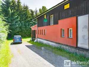 Prodej rodinného domu, Plavy, 556 m2