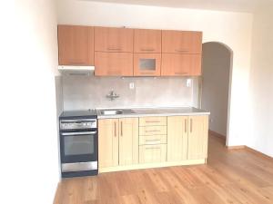 Pronájem bytu 1+1, České Budějovice, Puklicova, 40 m2