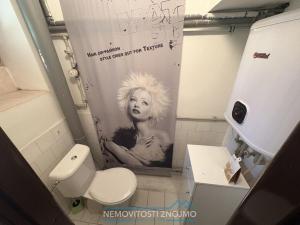 Pronájem obchodního prostoru, Znojmo, U Brány