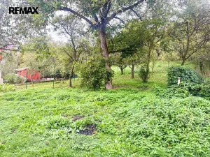 Prodej rodinného domu, Loučka, 200 m2