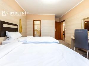 Prodej bytu 3+kk, Teplice, U Nových lázní, 85 m2