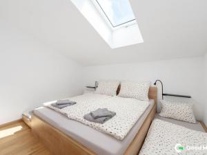 Prodej bytu 3+kk, Králíky, 17. listopadu, 113 m2