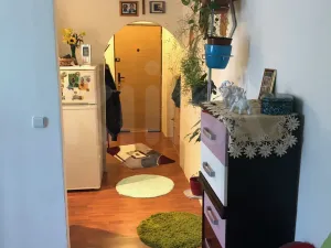 Pronájem bytu 1+1, Horní Slavkov, Dlouhá, 34 m2