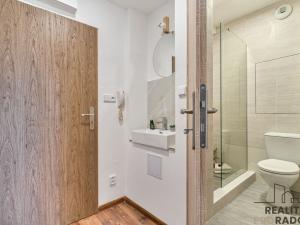 Prodej bytu 1+kk, Karviná, Prameny, 20 m2