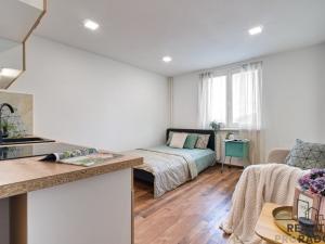 Prodej bytu 1+kk, Karviná, Prameny, 20 m2