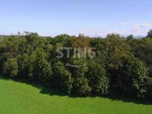 Prodej lesa, Hnojník, 9789 m2