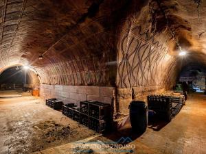 Prodej obchodního prostoru, Šatov, 3031 m2