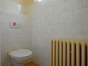 Prodej obchodního prostoru, Lipník nad Bečvou, 181 m2