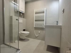 Pronájem bytu 3+kk, Bořetice, 57 m2