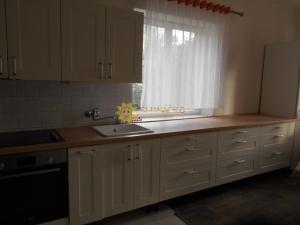 Pronájem bytu 4+1, Tisová, 140 m2