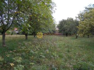 Pronájem bytu 4+1, Tisová, 140 m2