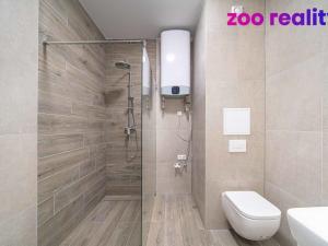 Pronájem bytu 1+1, Kolín, U Borků, 38 m2